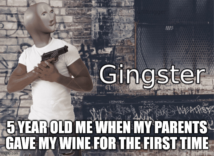 Gingster | 5 YEAR OLD ME WHEN MY PARENTS GAVE MY WINE FOR THE FIRST TIME | image tagged in gingster,1st time,memes | made w/ Imgflip meme maker