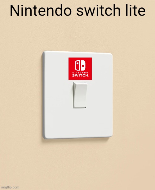Nintendo switch lite | Nintendo switch lite | image tagged in funny | made w/ Imgflip meme maker
