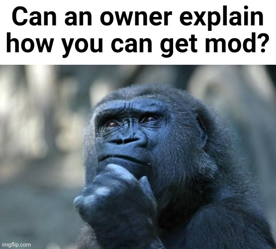 I'm NOT posting this to beg for mod. I'm just asking an owner how. | Can an owner explain how you can get mod? | image tagged in deep thoughts | made w/ Imgflip meme maker