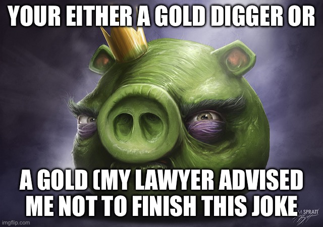 Early 2024 msmg lore | YOUR EITHER A GOLD DIGGER OR; A GOLD (MY LAWYER ADVISED ME NOT TO FINISH THIS JOKE | image tagged in angry birds realistic king pig | made w/ Imgflip meme maker