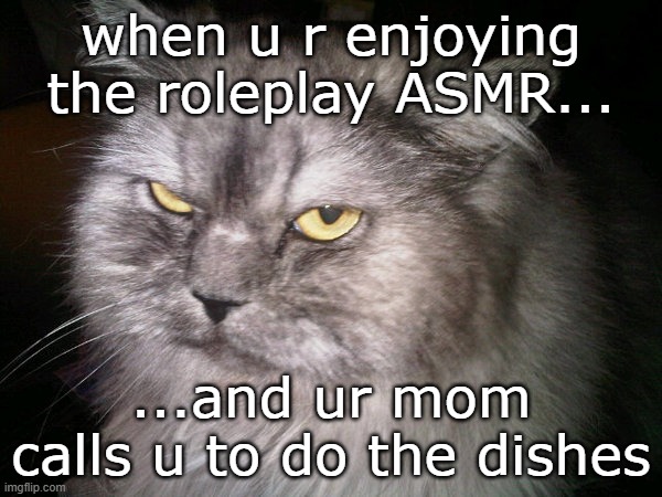 fun fact: she calls ONLY when u hv headphones on | when u r enjoying the roleplay ASMR... ...and ur mom calls u to do the dishes | image tagged in irritated cat | made w/ Imgflip meme maker