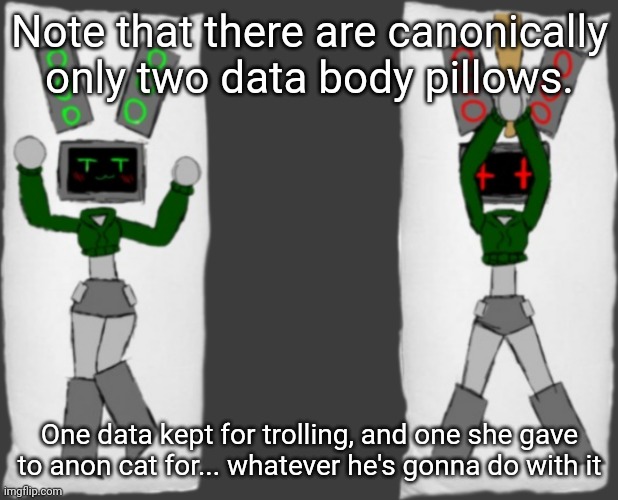 We all know what he's gonna do. | Note that there are canonically only two data body pillows. One data kept for trolling, and one she gave to anon cat for... whatever he's gonna do with it | image tagged in data body pillow both sides | made w/ Imgflip meme maker