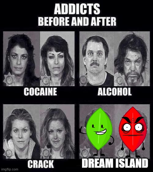 Addicts before and after | DREAM ISLAND | image tagged in addicts before and after | made w/ Imgflip meme maker