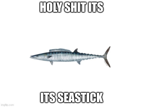 HOLY SHIT ITS; ITS SEASTICK | made w/ Imgflip meme maker