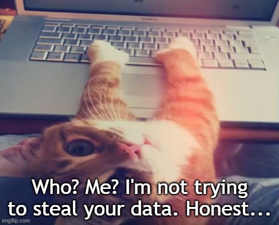 hacker cat | Who? Me? I'm not trying to steal your data. Honest... | image tagged in hacker cat | made w/ Imgflip meme maker