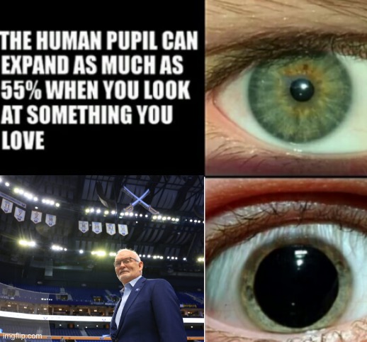 The human pupil can expand as much as 55% | image tagged in the human pupil can expand as much as 55 | made w/ Imgflip meme maker