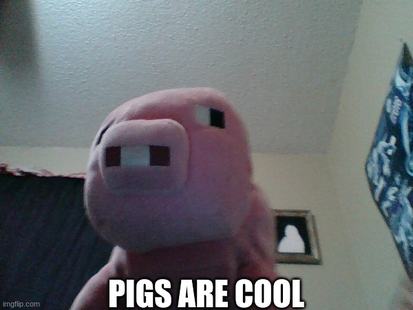 PIGS ARE COOL | made w/ Imgflip meme maker