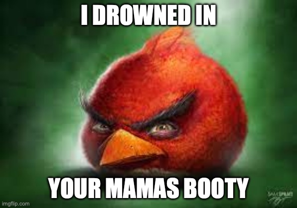 Angry bird meme red mama booty | I DROWNED IN; YOUR MAMAS BOOTY | image tagged in angry birds,booty,mama,red,shitpost,memes | made w/ Imgflip meme maker