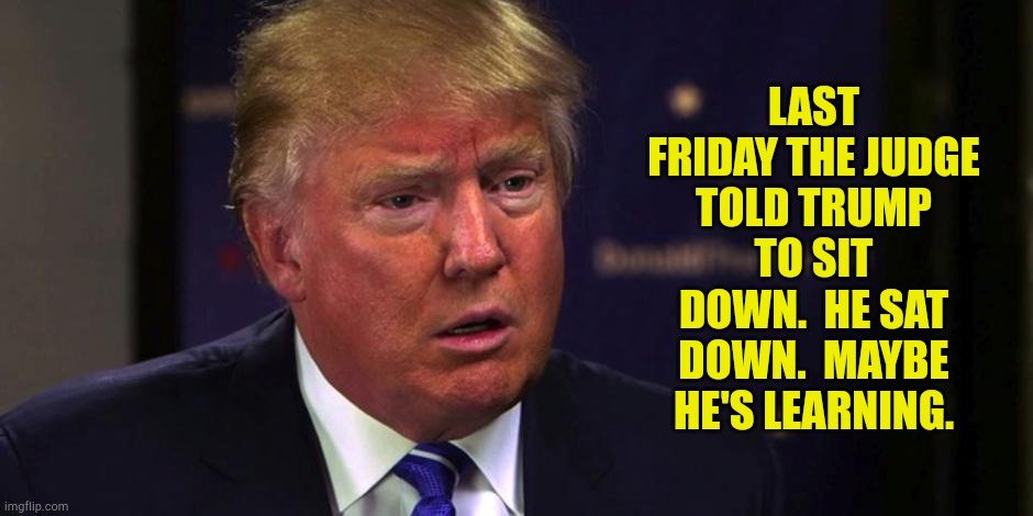 Good doggie! | LAST FRIDAY THE JUDGE TOLD TRUMP TO SIT DOWN.  HE SAT DOWN.  MAYBE HE'S LEARNING. | image tagged in sad trump | made w/ Imgflip meme maker