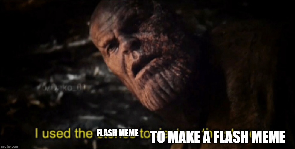 I used the stones to destroy the stones | FLASH MEME TO MAKE A FLASH MEME | image tagged in i used the stones to destroy the stones | made w/ Imgflip meme maker
