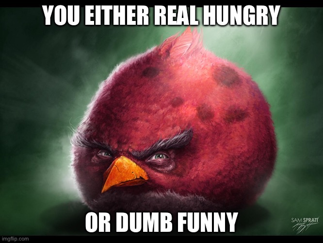 Realistic Angry Bird (big red) | YOU EITHER REAL HUNGRY OR DUMB FUNNY | image tagged in realistic angry bird big red | made w/ Imgflip meme maker