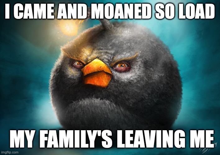 When I play Angry birds | I CAME AND MOANED SO LOAD; MY FAMILY'S LEAVING ME | image tagged in meme,shitpost,black bird,moan,came,angry birds | made w/ Imgflip meme maker