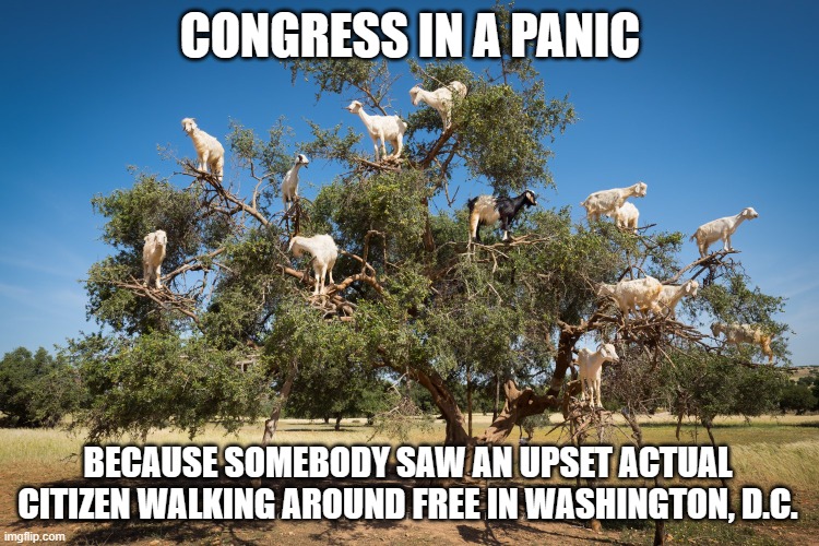 panicked politicians | CONGRESS IN A PANIC; BECAUSE SOMEBODY SAW AN UPSET ACTUAL CITIZEN WALKING AROUND FREE IN WASHINGTON, D.C. | image tagged in cowards,congress,evil government | made w/ Imgflip meme maker