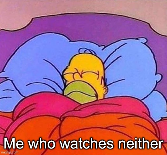 Homer Simpson sleeping peacefully | Me who watches neither | image tagged in homer simpson sleeping peacefully | made w/ Imgflip meme maker