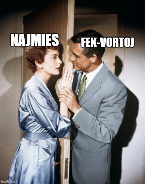 Love Affair | FEK-VORTOJ; NAJMIES | image tagged in love affair | made w/ Imgflip meme maker