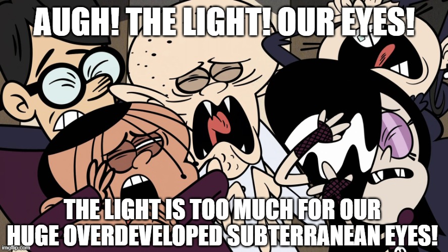 The Light | AUGH! THE LIGHT! OUR EYES! THE LIGHT IS TOO MUCH FOR OUR HUGE OVERDEVELOPED SUBTERRANEAN EYES! | image tagged in the loud house,reference | made w/ Imgflip meme maker
