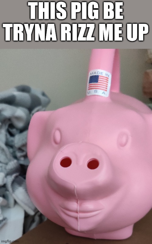 THIS PIG BE TRYNA RIZZ ME UP | image tagged in memes,funny,rizz | made w/ Imgflip meme maker