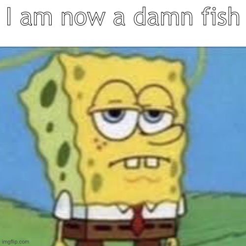 Serious spongebob | I am now a damn fish | image tagged in serious spongebob | made w/ Imgflip meme maker