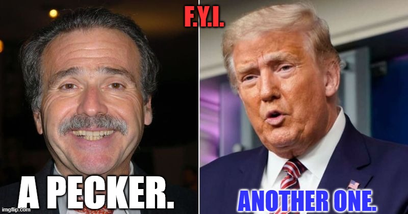Someone had to do it. MAGA hates me already/ | F.Y.I. ANOTHER ONE. A PECKER. | image tagged in politics | made w/ Imgflip meme maker