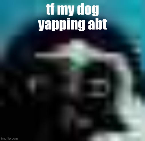 "ÆEUEOURROIoiauuiIUAIIUUAIIUUU" -addy | tf my dog yapping abt | made w/ Imgflip meme maker