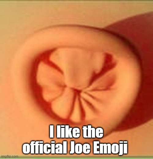 I like the official Joe Emoji | made w/ Imgflip meme maker