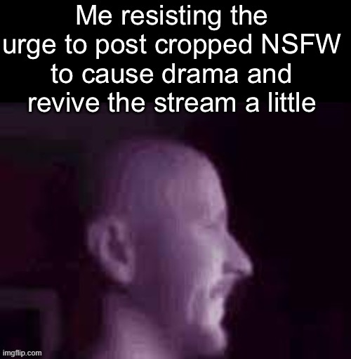 . | Me resisting the urge to post cropped NSFW to cause drama and revive the stream a little | made w/ Imgflip meme maker