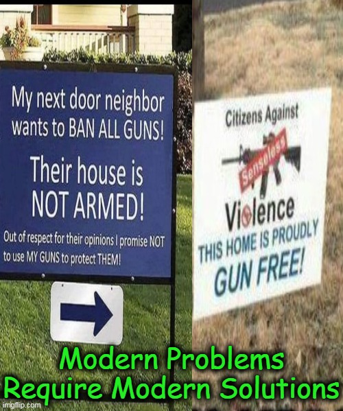 Which house is more likely to be robbed? | Modern Problems Require Modern Solutions | image tagged in political humor,guns,home invasion,second amendment,protection,burglar | made w/ Imgflip meme maker