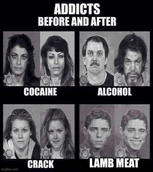 The most high quality refined meat | LAMB MEAT | image tagged in addicts before and after | made w/ Imgflip meme maker