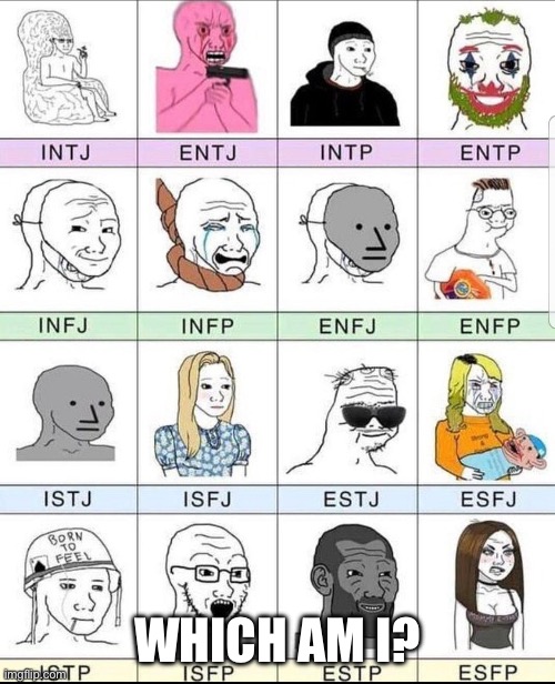 Personality types | WHICH AM I? | image tagged in personality types | made w/ Imgflip meme maker