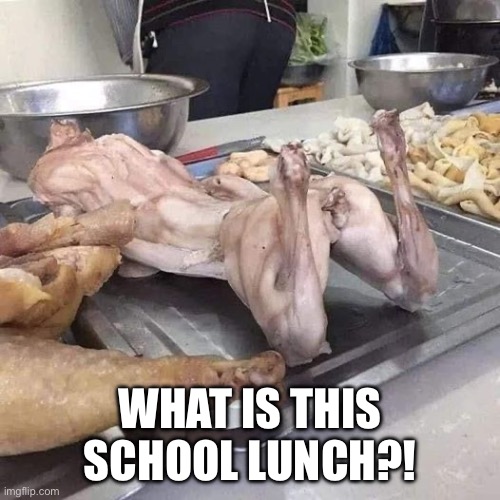 Chicken | WHAT IS THIS SCHOOL LUNCH?! | image tagged in chicken | made w/ Imgflip meme maker