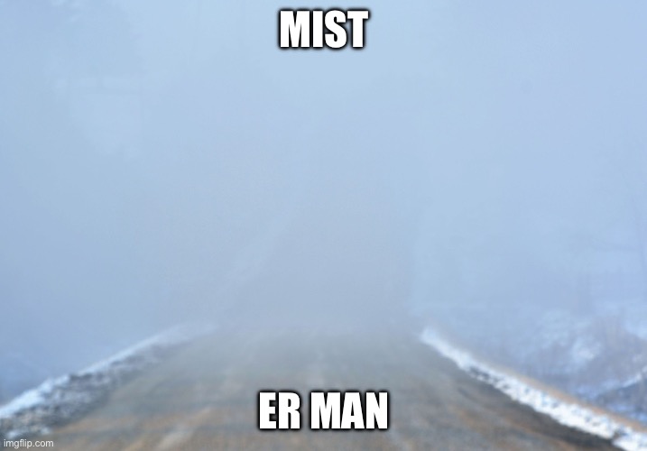 Into the fog | MIST ER MAN | image tagged in into the fog | made w/ Imgflip meme maker