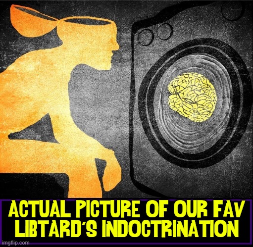 NOTE: Brain-Washing Cycle varies from Libtard to Libtard | ACTUAL PICTURE OF OUR FAV
LIBTARD'S INDOCTRINATION | image tagged in vince vance,liberal mind,college liberal,progressives,commies,cartoons | made w/ Imgflip meme maker