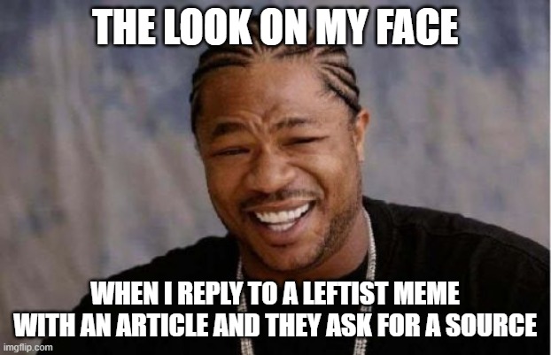 Yo Dawg Heard You | THE LOOK ON MY FACE; WHEN I REPLY TO A LEFTIST MEME WITH AN ARTICLE AND THEY ASK FOR A SOURCE | image tagged in memes,yo dawg heard you | made w/ Imgflip meme maker