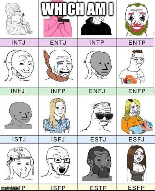 Personality types | WHICH AM I | image tagged in personality types | made w/ Imgflip meme maker