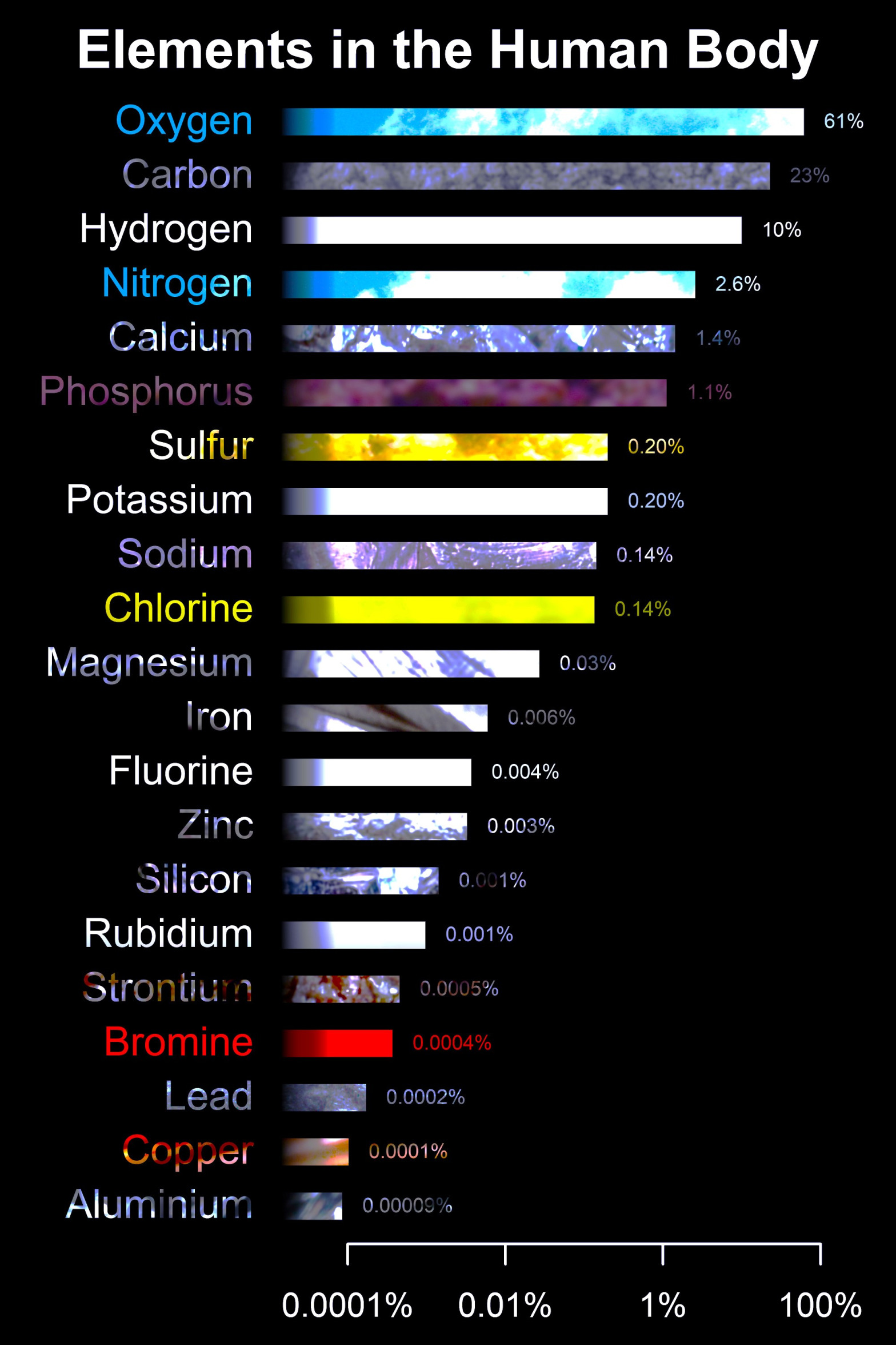 Elements of the human body proves Genesis 2:7 Blank Meme Template