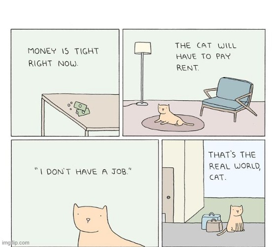 Get a Job Cat | image tagged in comics | made w/ Imgflip meme maker
