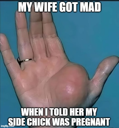 Jill's Pregnant | MY WIFE GOT MAD; WHEN I TOLD HER MY SIDE CHICK WAS PREGNANT | image tagged in sex jokes | made w/ Imgflip meme maker
