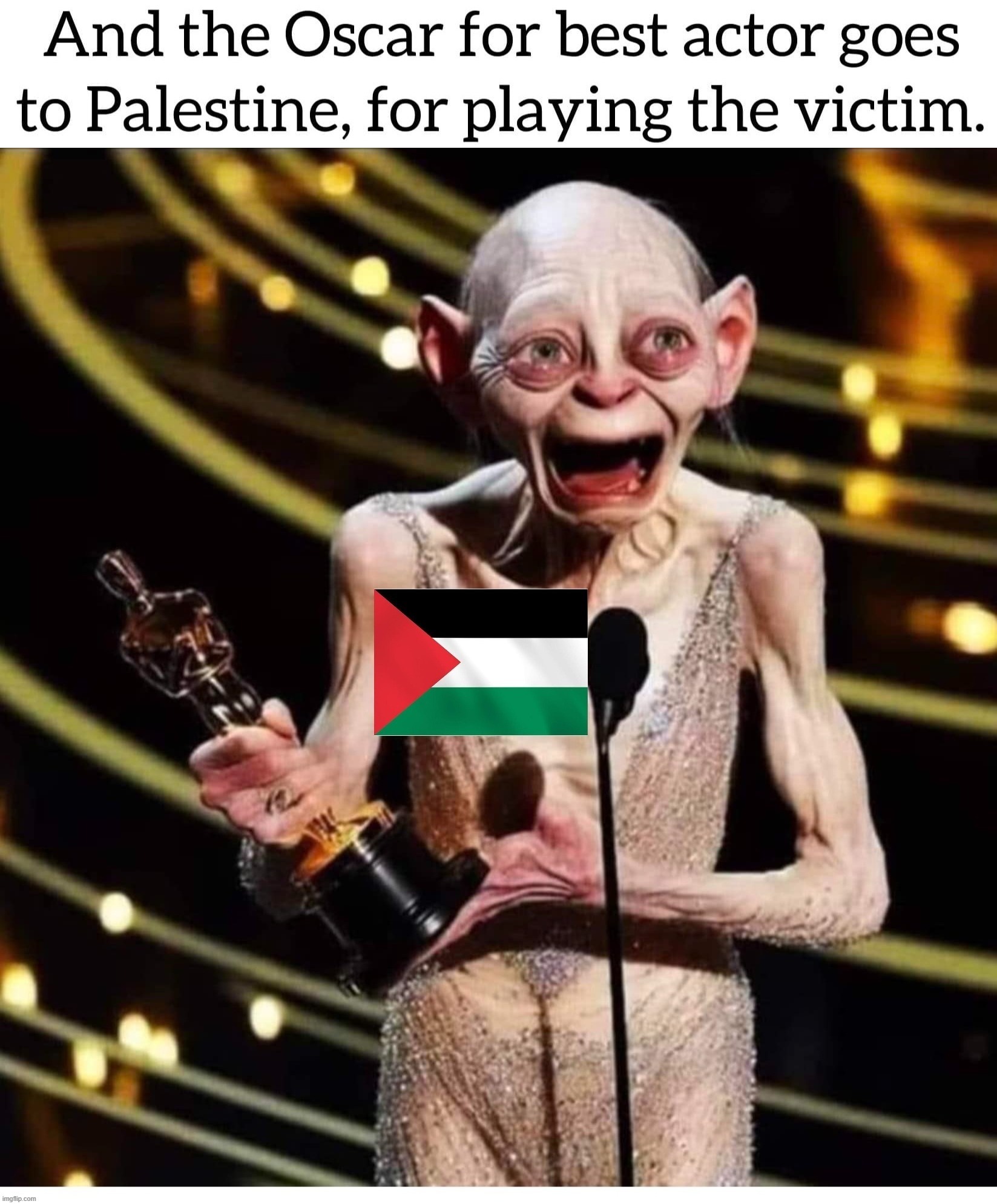 And the Oscar for the Best Actor goes to Palestine... | image tagged in the oscars,oscar awards,palestine,victim,playing the victim,hypocrites | made w/ Imgflip meme maker