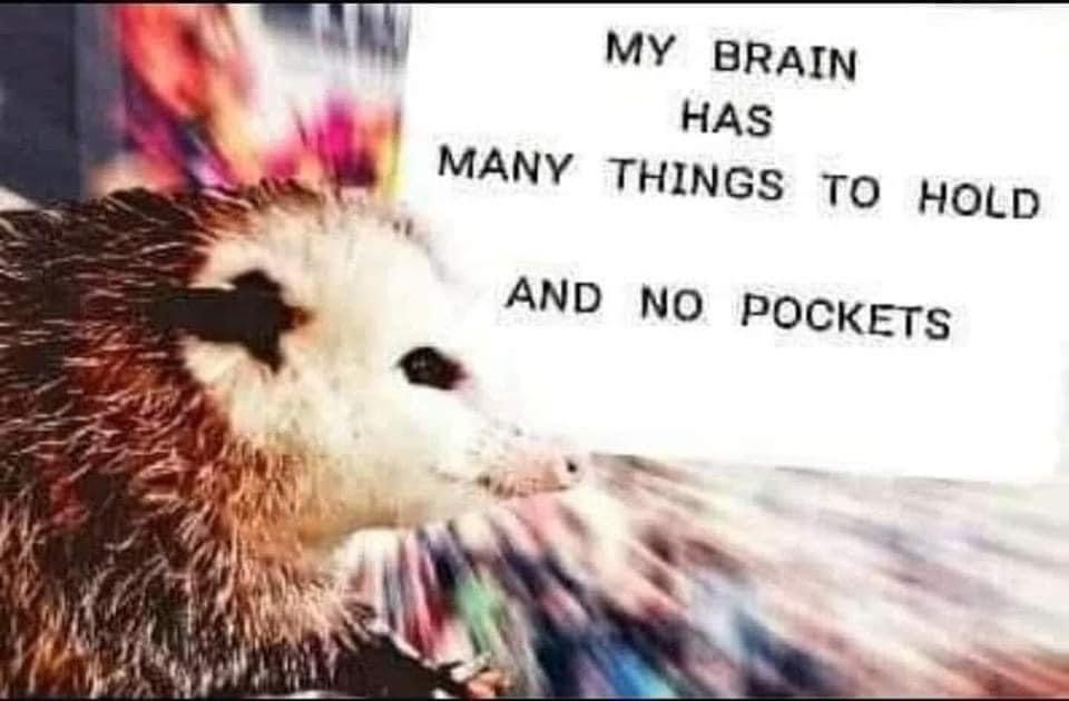 Possum Blank Meme Template