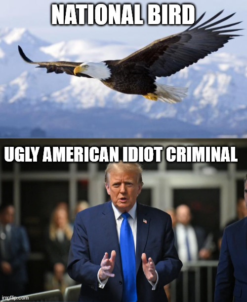 2 examples in America | NATIONAL BIRD; UGLY AMERICAN IDIOT CRIMINAL | image tagged in eagle,donald trump approves | made w/ Imgflip meme maker