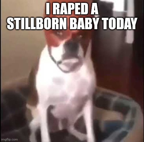 daredevil dog | I RAPED A STILLBORN BABY TODAY | image tagged in daredevil dog | made w/ Imgflip meme maker