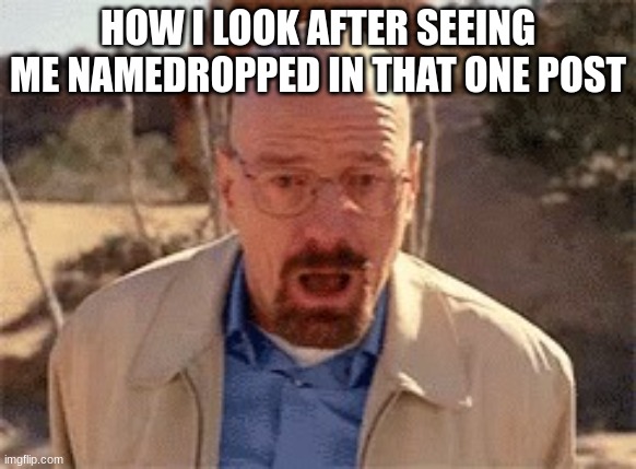 Walter White | HOW I LOOK AFTER SEEING ME NAMEDROPPED IN THAT ONE POST | image tagged in walter white | made w/ Imgflip meme maker