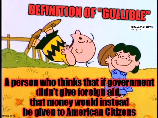 Don't be gullible about how government works | DEFINITION OF "GULLIBLE"; A person who thinks that if government didn't give foreign aid, 
that money would instead be given to American Citizens | image tagged in government,foreign aid,gullible | made w/ Imgflip meme maker