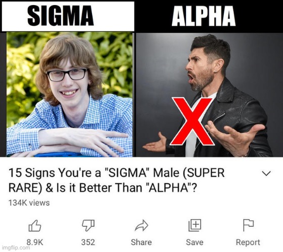 Sigma nerd | image tagged in 15 signs your a,nerd,memes | made w/ Imgflip meme maker