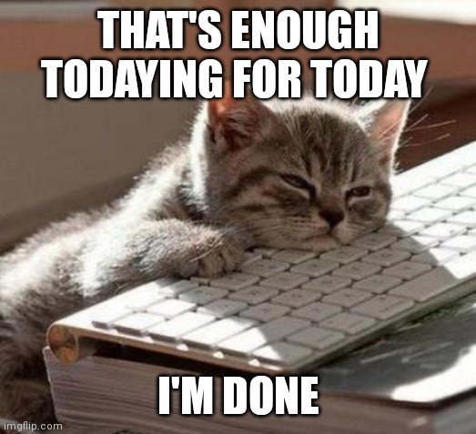 I'm done | THAT'S ENOUGH TODAYING FOR TODAY; I'M DONE | image tagged in tired cat,funny memes | made w/ Imgflip meme maker
