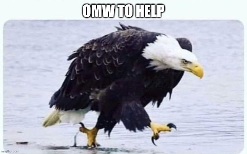 Walking eagle | OMW TO HELP | image tagged in walking eagle | made w/ Imgflip meme maker