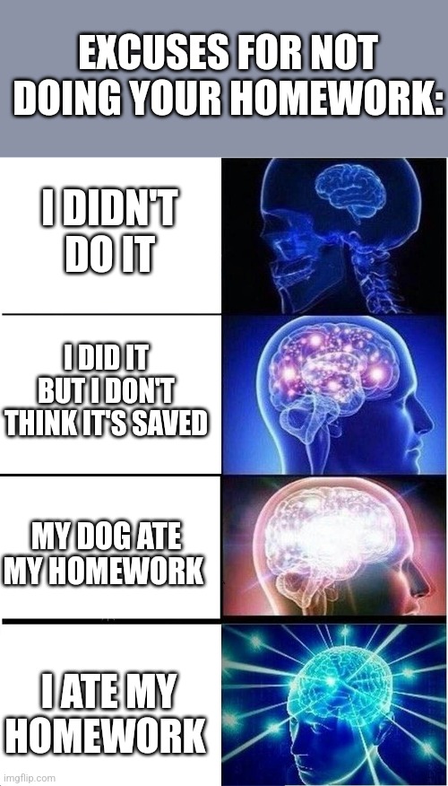 who is with me | EXCUSES FOR NOT DOING YOUR HOMEWORK:; I DIDN'T DO IT; I DID IT BUT I DON'T THINK IT'S SAVED; MY DOG ATE MY HOMEWORK; I ATE MY HOMEWORK | image tagged in memes,expanding brain | made w/ Imgflip meme maker