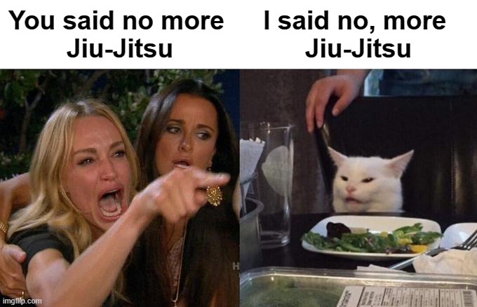 Woman Yelling At Cat Meme | You said no more 
Jiu-Jitsu; I said no, more   
Jiu-Jitsu | image tagged in memes,woman yelling at cat,jiu jitsu,bjj | made w/ Imgflip meme maker
