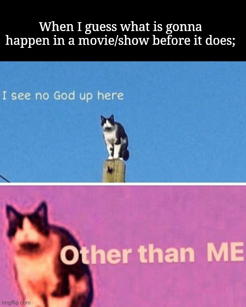 Hail pole cat | When I guess what is gonna happen in a movie/show before it does; | image tagged in hail pole cat | made w/ Imgflip meme maker