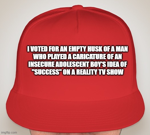 What it really says about someone when they wear a MAGA hat. | I VOTED FOR AN EMPTY HUSK OF A MAN
WHO PLAYED A CARICATURE OF AN
INSECURE ADOLESCENT BOY'S IDEA OF
"SUCCESS" ON A REALITY TV SHOW | image tagged in trump hat,maga,blank red maga hat,conservative logic,donald trump,trump | made w/ Imgflip meme maker